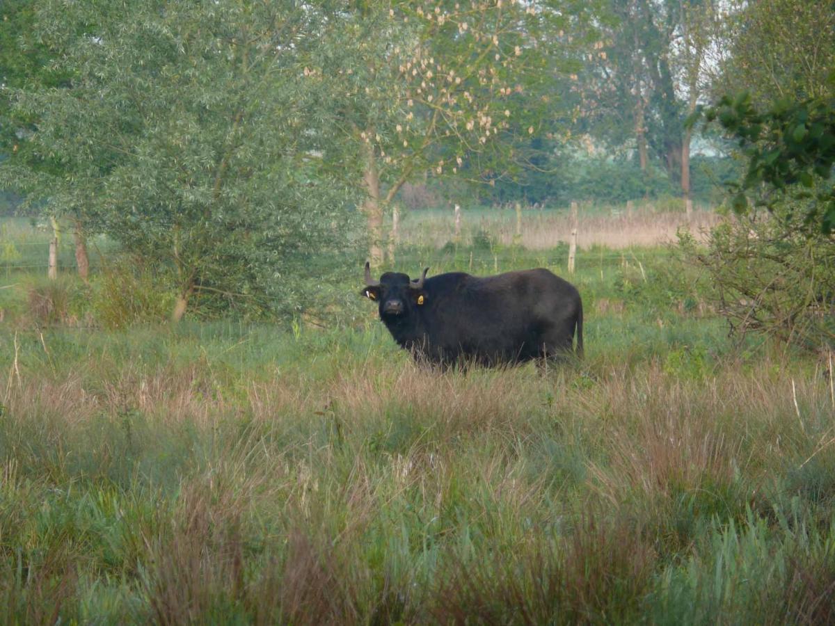 Landgasthof Vogt Bad Sassendorf Exteriör bild