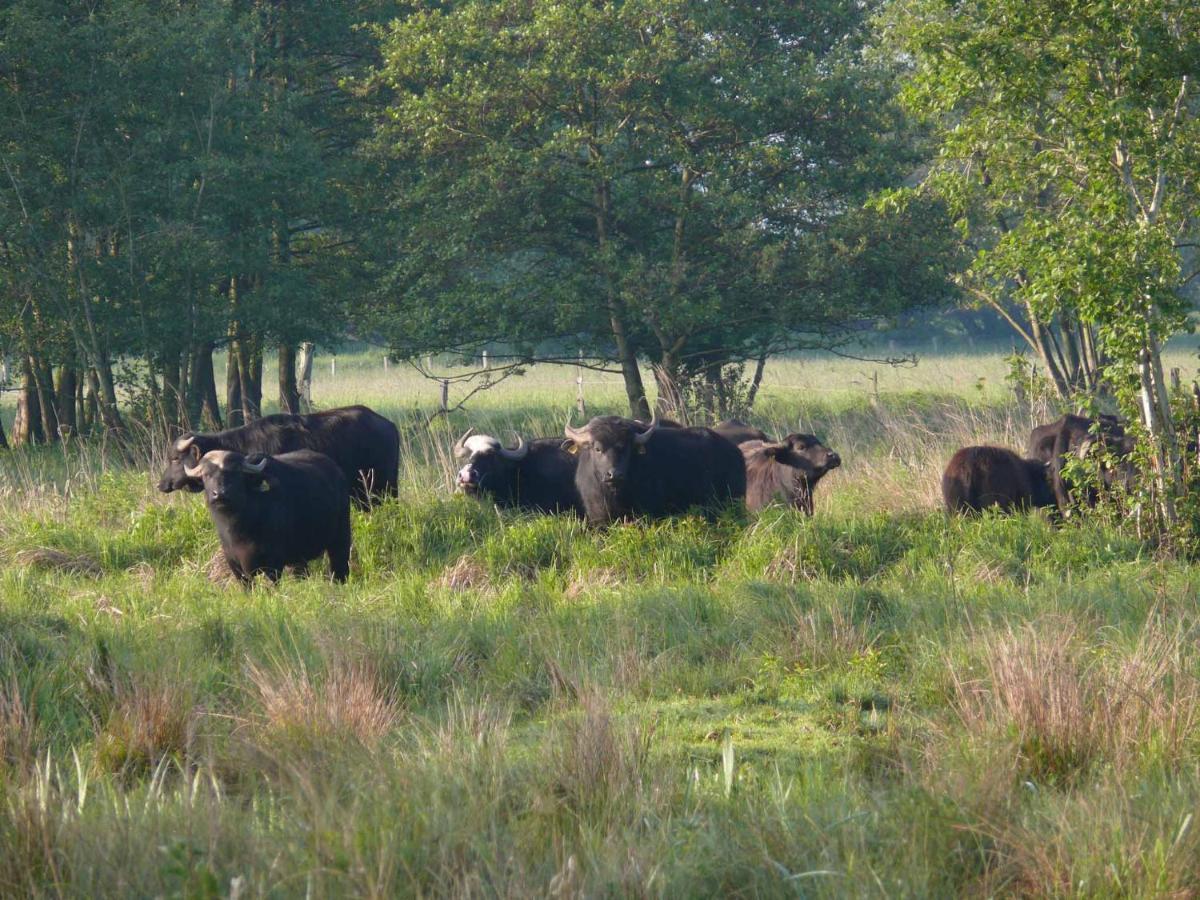 Landgasthof Vogt Bad Sassendorf Exteriör bild